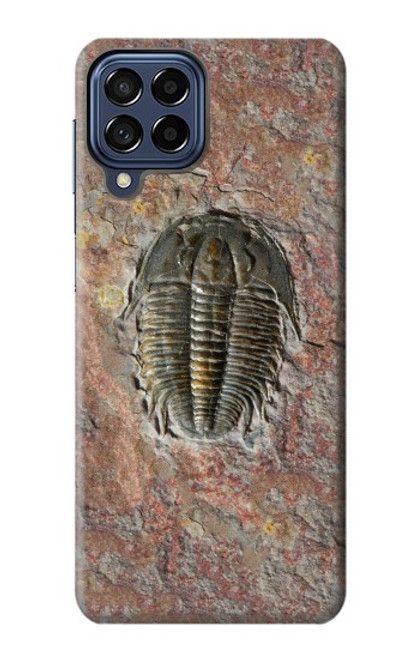 S1454 Trilobite Fossil Case For Samsung Galaxy M53