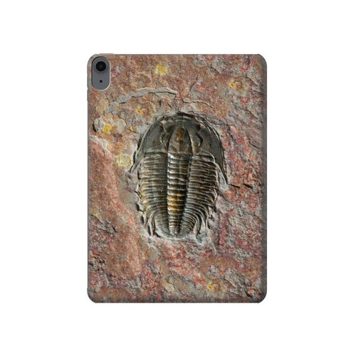 S1454 Trilobite Fossil Hard Case For iPad Air (2022,2020, 4th, 5th), iPad Pro 11 (2022, 6th)