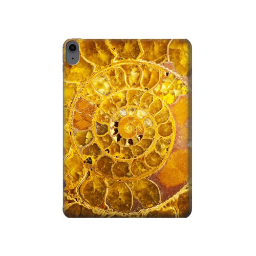 S1789 Ammonite Fossils Hard Case For iPad Air (2022,2020, 4th, 5th), iPad Pro 11 (2022, 6th)