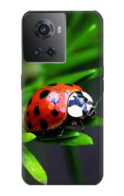 S0263 Ladybug Case For OnePlus 10R