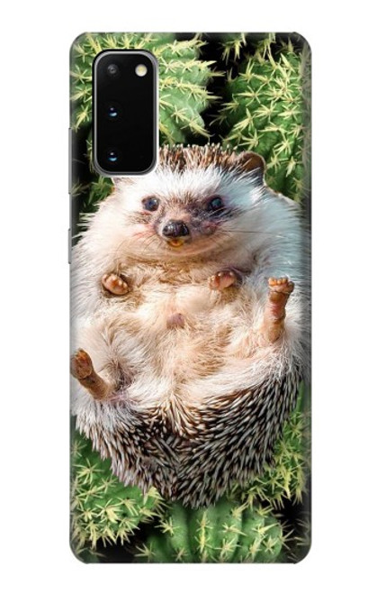 S3863 Pygmy Hedgehog Dwarf Hedgehog Paint Case For Samsung Galaxy S20