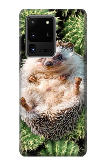 S3863 Pygmy Hedgehog Dwarf Hedgehog Paint Case For Samsung Galaxy S20 Ultra