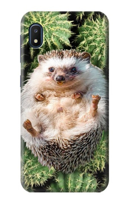 S3863 Pygmy Hedgehog Dwarf Hedgehog Paint Case For Samsung Galaxy A10e