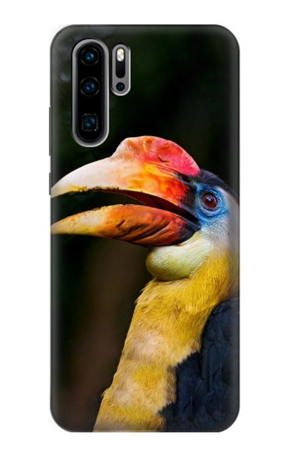 S3876 Colorful Hornbill Case For Huawei P30 Pro