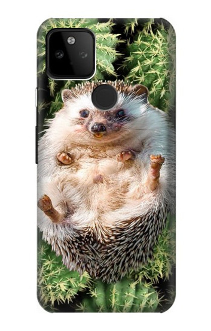 S3863 Pygmy Hedgehog Dwarf Hedgehog Paint Case For Google Pixel 5A 5G