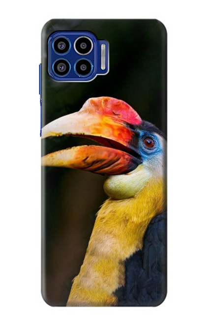 S3876 Colorful Hornbill Case For Motorola One 5G