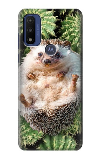 S3863 Pygmy Hedgehog Dwarf Hedgehog Paint Case For Motorola G Pure
