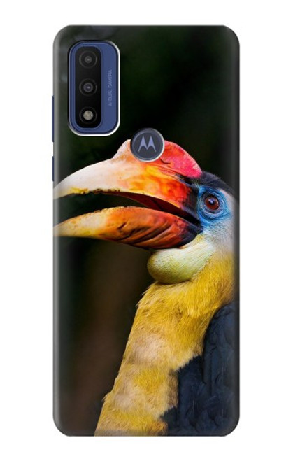S3876 Colorful Hornbill Case For Motorola G Pure