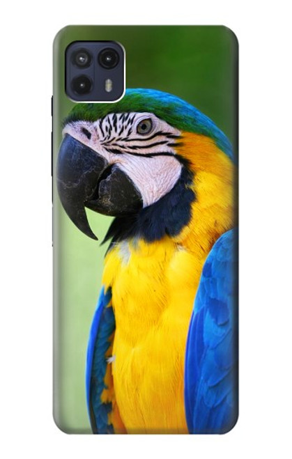 S3888 Macaw Face Bird Case For Motorola Moto G50 5G