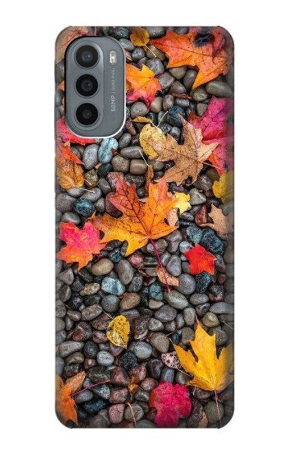 S3889 Maple Leaf Case For Motorola Moto G31