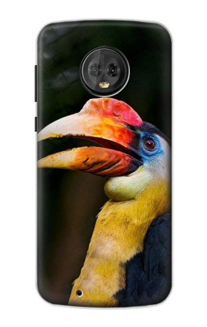 S3876 Colorful Hornbill Case For Motorola Moto G6