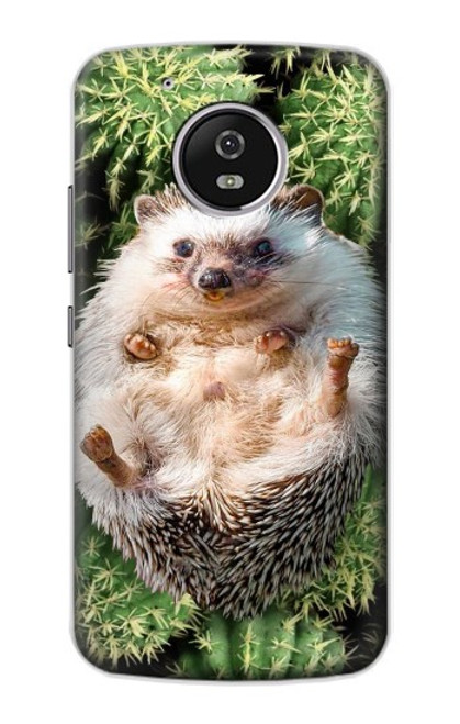 S3863 Pygmy Hedgehog Dwarf Hedgehog Paint Case For Motorola Moto G5