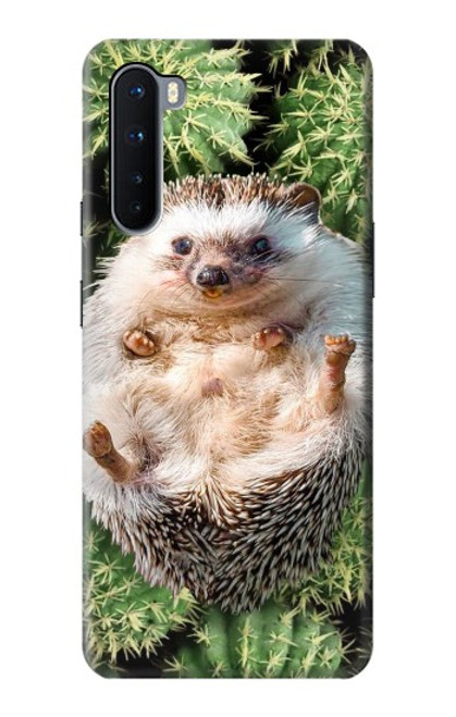 S3863 Pygmy Hedgehog Dwarf Hedgehog Paint Case For OnePlus Nord