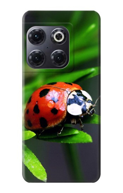 S0263 Ladybug Case For OnePlus 10T