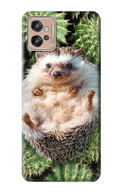 S3863 Pygmy Hedgehog Dwarf Hedgehog Paint Case For Motorola Moto G32