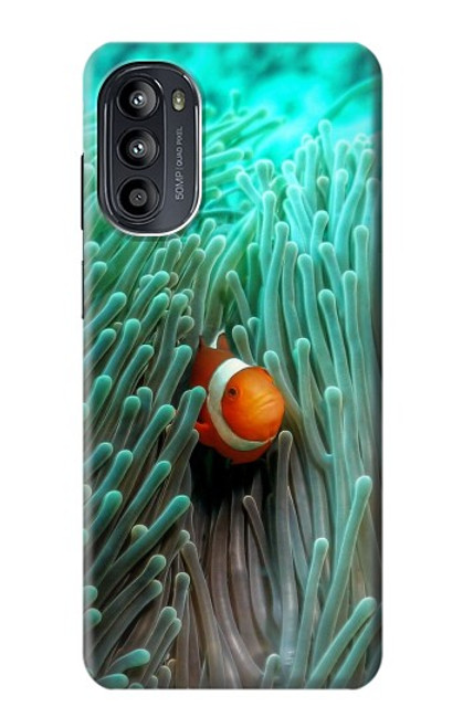 S3893 Ocellaris clownfish Case For Motorola Moto G52, G82 5G