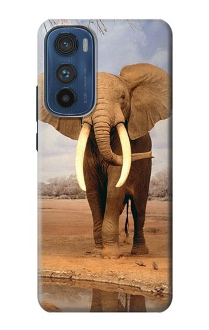 S0310 African Elephant Case For Motorola Edge 30