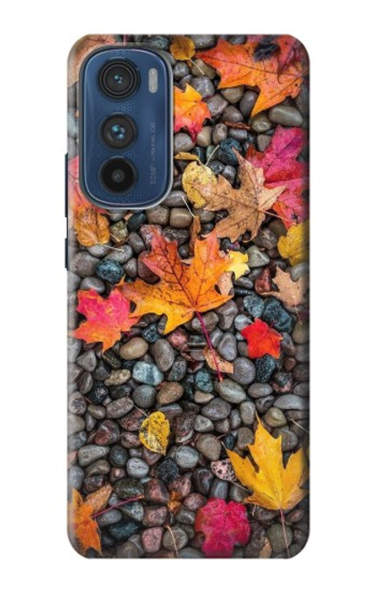 S3889 Maple Leaf Case For Motorola Edge 30