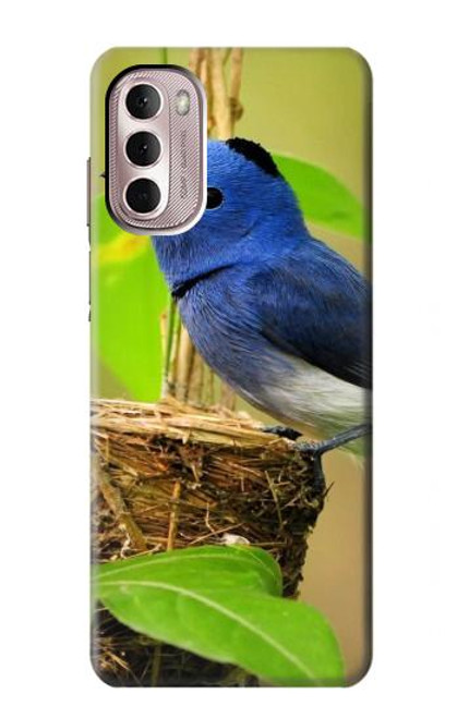 S3839 Bluebird of Happiness Blue Bird Case For Motorola Moto G Stylus 4G (2022)