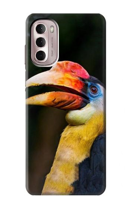 S3876 Colorful Hornbill Case For Motorola Moto G Stylus 4G (2022)