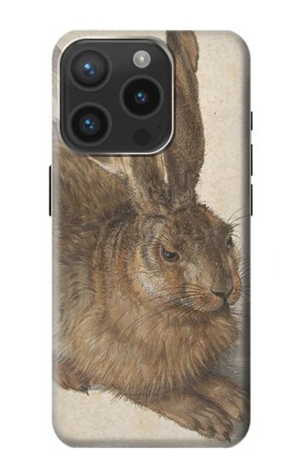 S3781 Albrecht Durer Young Hare Case For iPhone 15 Pro