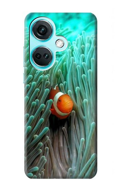 S3893 Ocellaris clownfish Case For OnePlus Nord CE3