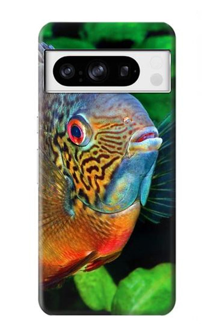 S1812 Cichlid Fish Case For Google Pixel 8 pro