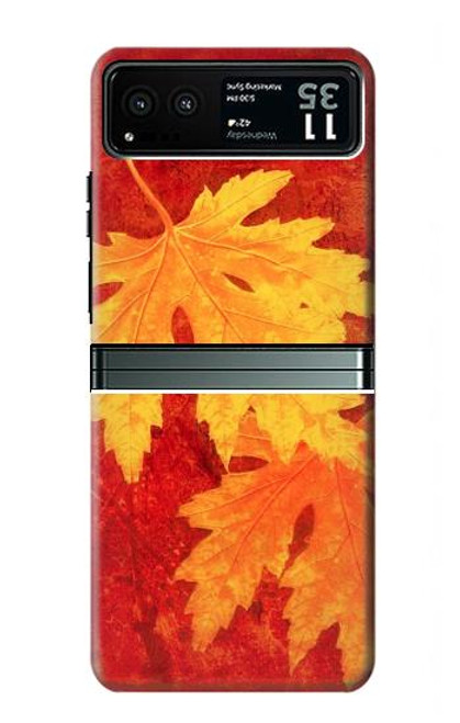 S0479 Maple Leaf Case For Motorola Razr 40