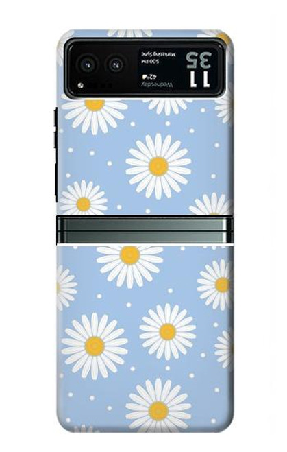 S3681 Daisy Flowers Pattern Case For Motorola Razr 40