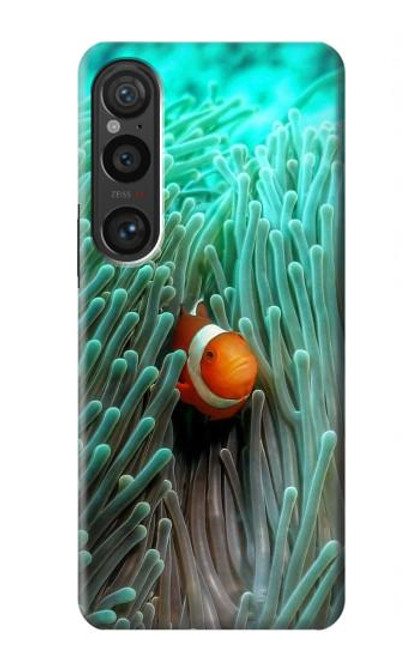 S3893 Ocellaris clownfish Case For Sony Xperia 1 VI