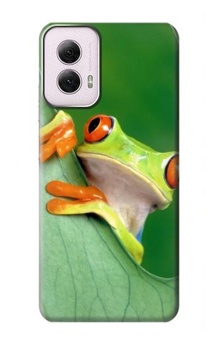S1047 Little Frog Case For Motorola Moto G Power 5G (2024)