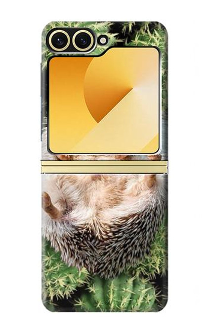 S3863 Pygmy Hedgehog Dwarf Hedgehog Paint Case For Samsung Galaxy Z Flip 6