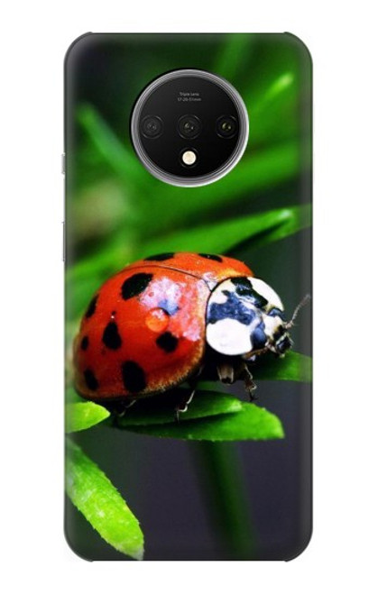 S0263 Ladybug Case For OnePlus 7T