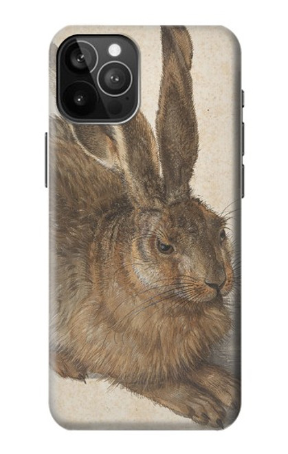 S3781 Albrecht Durer Young Hare Case For iPhone 12 Pro Max