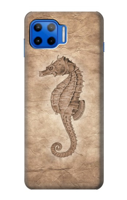 S3214 Seahorse Skeleton Fossil Case For Motorola Moto G 5G Plus