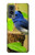 S3839 Bluebird of Happiness Blue Bird Case For OnePlus Nord 2 5G