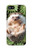 S3863 Pygmy Hedgehog Dwarf Hedgehog Paint Case For iPhone 5 5S SE