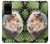 S3863 Pygmy Hedgehog Dwarf Hedgehog Paint Case For Samsung Galaxy S20 Plus, Galaxy S20+