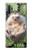S3863 Pygmy Hedgehog Dwarf Hedgehog Paint Case For Samsung Galaxy Note 10 Plus