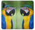 S3888 Macaw Face Bird Case For Samsung Galaxy Note 10 Plus