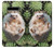 S3863 Pygmy Hedgehog Dwarf Hedgehog Paint Case For LG V60 ThinQ 5G
