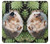 S3863 Pygmy Hedgehog Dwarf Hedgehog Paint Case For Motorola One Action (Moto P40 Power)