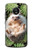 S3863 Pygmy Hedgehog Dwarf Hedgehog Paint Case For Motorola Moto G5