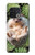 S3863 Pygmy Hedgehog Dwarf Hedgehog Paint Case For OnePlus 10 Pro