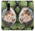 S3863 Pygmy Hedgehog Dwarf Hedgehog Paint Case For OnePlus 6
