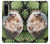 S3863 Pygmy Hedgehog Dwarf Hedgehog Paint Case For Sony Xperia 1 IV