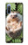 S3863 Pygmy Hedgehog Dwarf Hedgehog Paint Case For Sony Xperia 10 III Lite