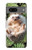 S3863 Pygmy Hedgehog Dwarf Hedgehog Paint Case For Google Pixel 7