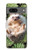 S3863 Pygmy Hedgehog Dwarf Hedgehog Paint Case For Google Pixel 7a
