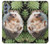 S3863 Pygmy Hedgehog Dwarf Hedgehog Paint Case For Samsung Galaxy M34 5G